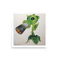 Peashooter (PVZ) - Poster Print