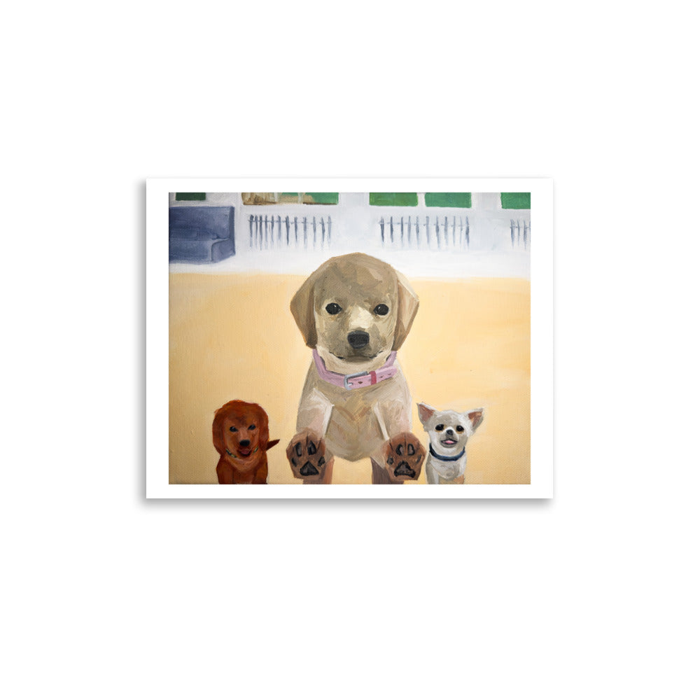Nintendogs - Poster Print