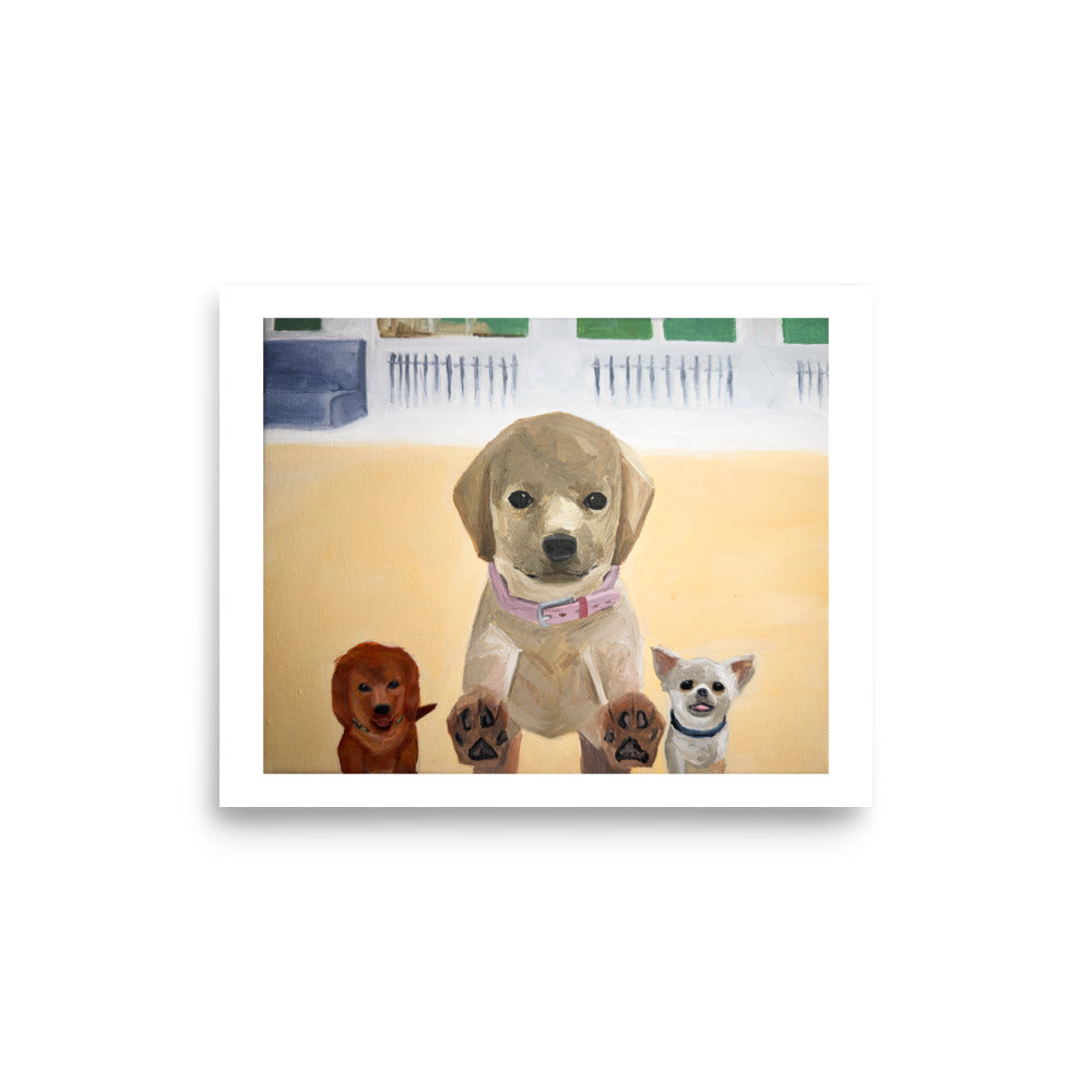 Nintendogs - Poster Print