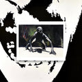 Nova Crawler Poster Print